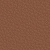 colour_Raise Leather & Canyon