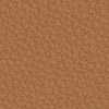 colour_Raise Leather & Sienna