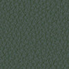 colour_Raise Leather & Verde
