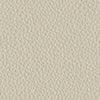 colour_Prone Leather & Essence