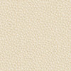 colour_Prone Leather & Timbre