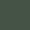 colour_Prone Leather & Vine