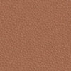 colour_Prone Leather & Ledge