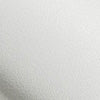 colour_White