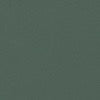 colour_Fir Green