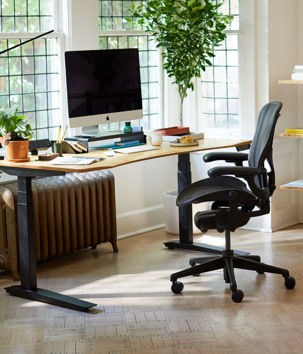Home office scene containing Jarvis sit-stand desk with black legs and contoured bamboo top with Aeron office chair in onyx black