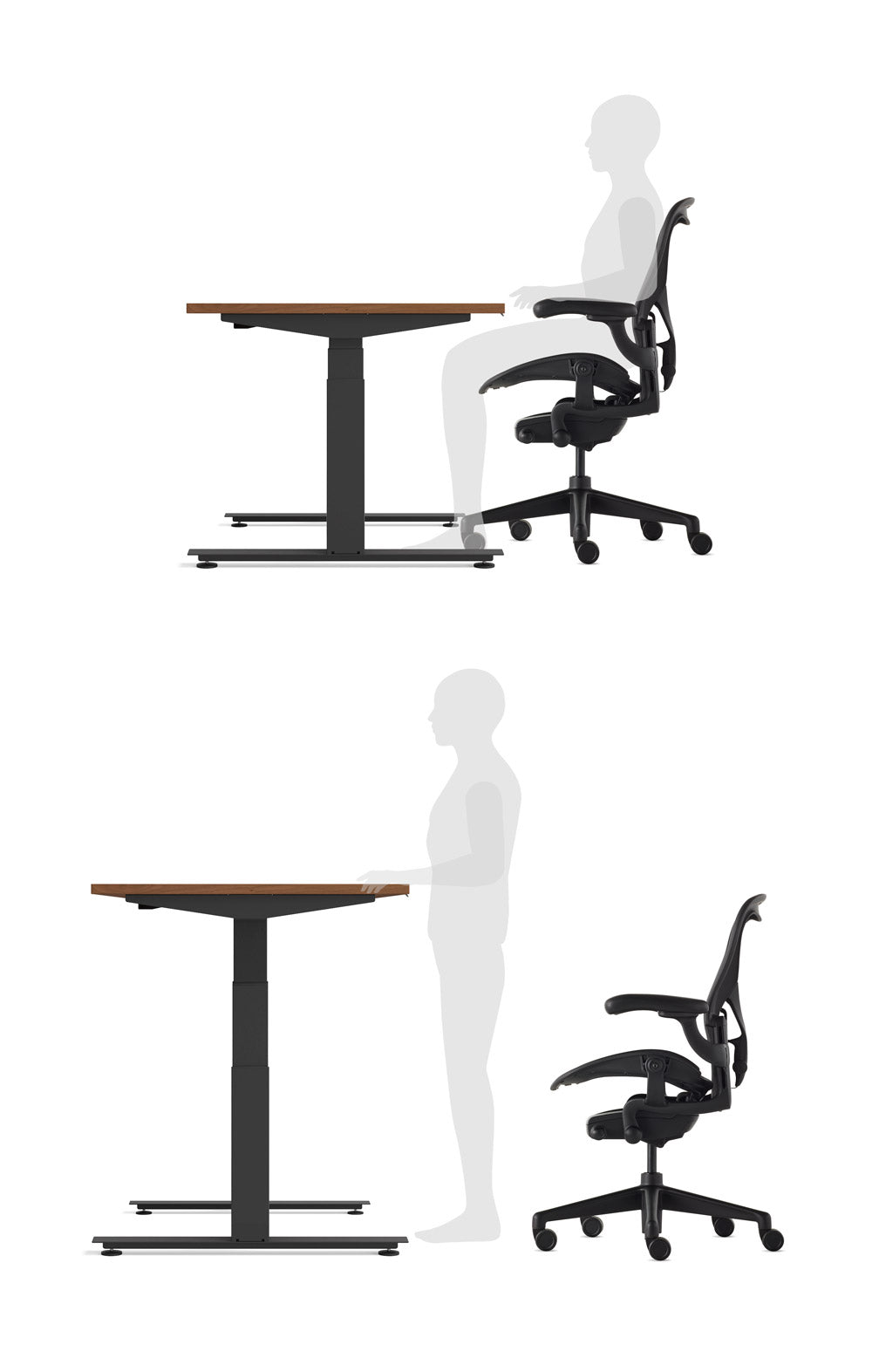 Graphical style image showing person using an Nevi sit-stand desk in both seated position and standing position