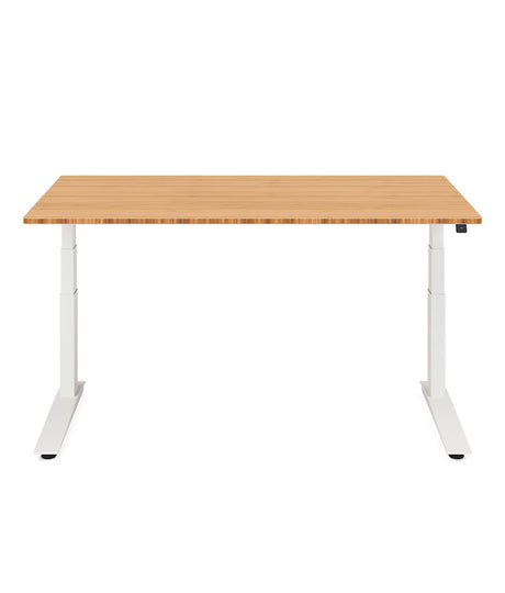 Fully Jarvis Bamboo Standing Desk
