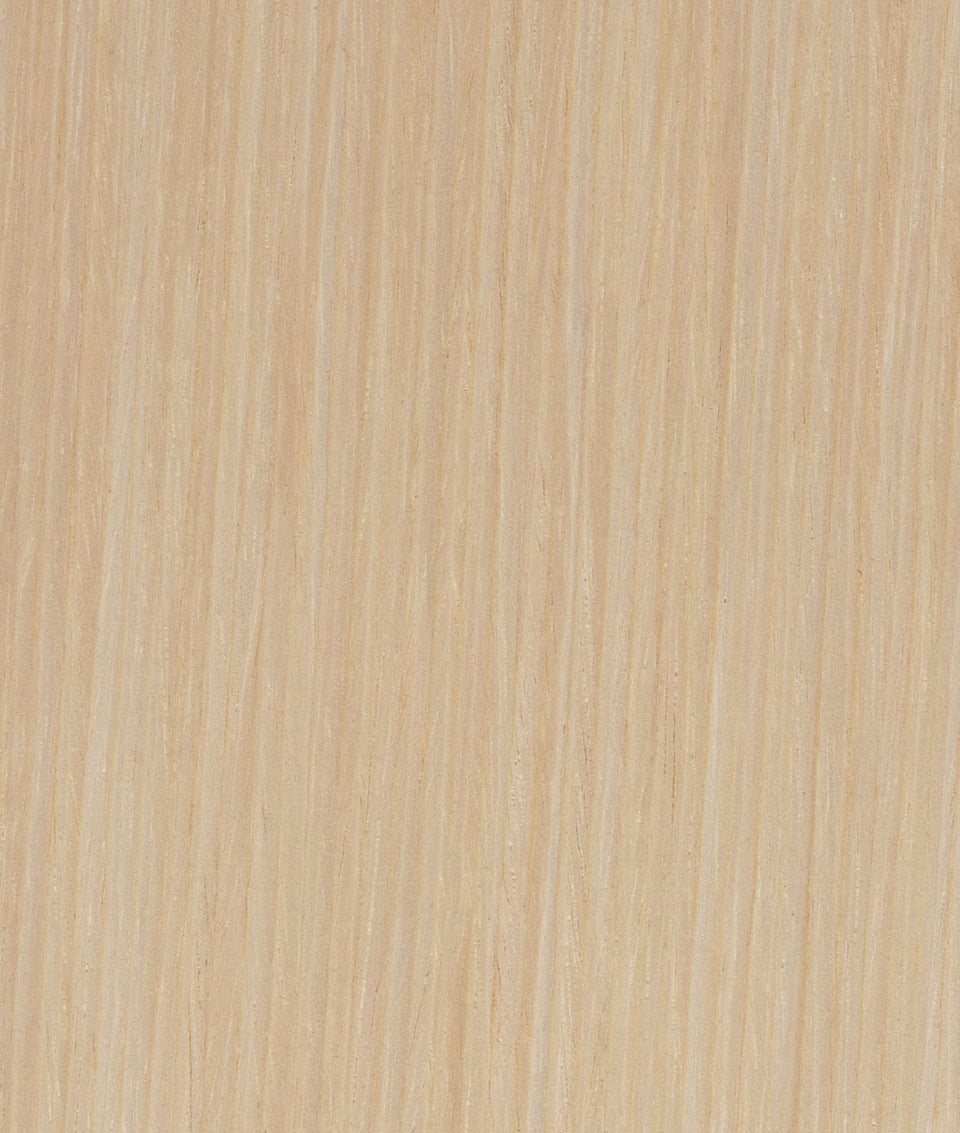 OE1 Rectangular Standing Desk