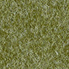 colour2_Pesto