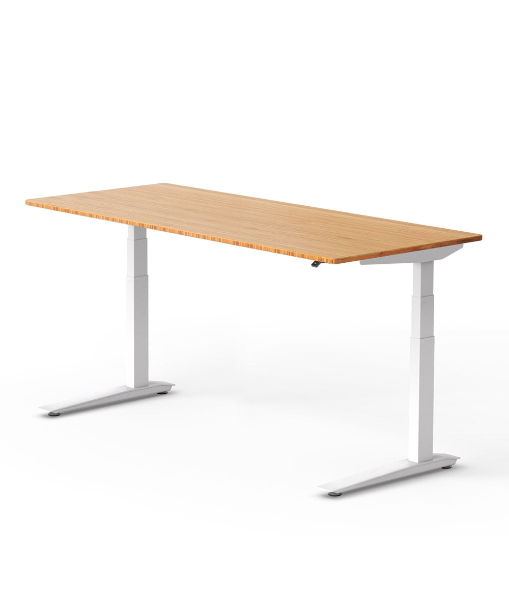 Fully Jarvis Bamboo Standing Desk