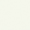 colour_Studio White