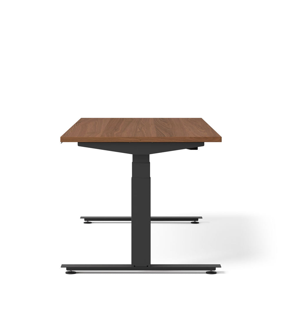 Nevi Sit Stand Desk