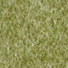 colour_Pesto