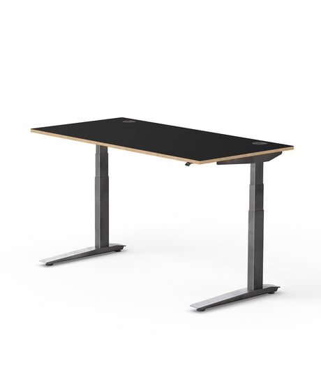 Fully Jarvis Designer Ply Standing Desk