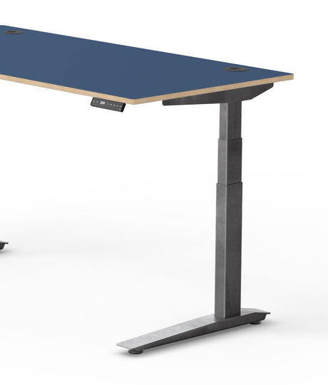 Fully Jarvis Designer Ply Standing Desk