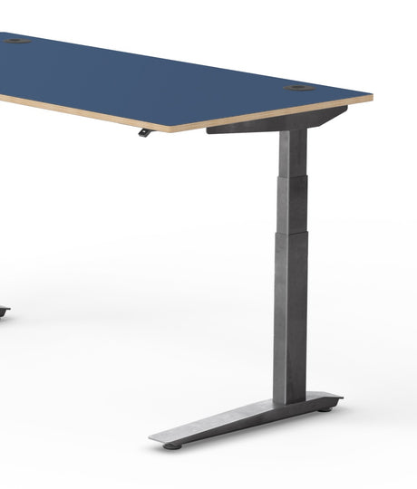 Fully Jarvis Designer Ply Standing Desk
