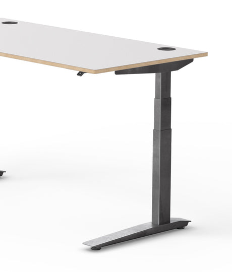 Fully Jarvis Designer Ply Standing Desk